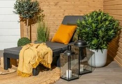 Keter Daytona Deluxe Aurinkotuoli Pehmusteella, Grafiitti -Anno Store Daytona deluxe aurinkotuoli miljoossa musta web pete 8