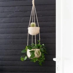 Fanni K Amppelikori Rauha