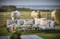 Hillerstorp Lindeby Sohvan Selkänoja Hiilenharmaa/harmaa -Anno Store lindeby hornsoffa 9900 9901 9902 miljo 01